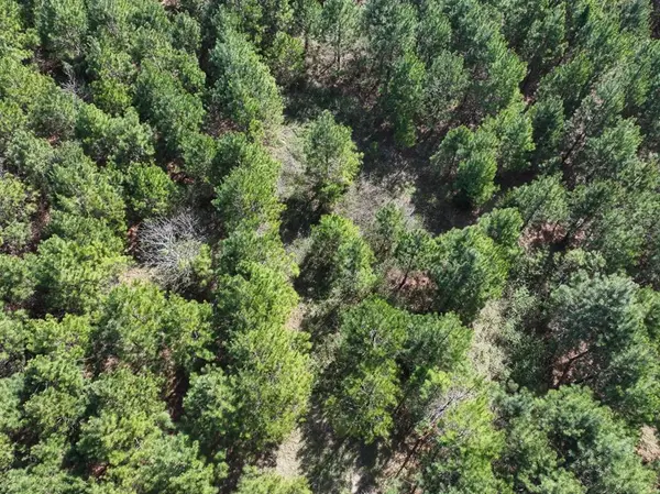 6 United Gas Road 1, Rodessa, LA 71069