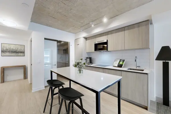 47 Mutual ST #501, Toronto C08, ON M5B 0C6