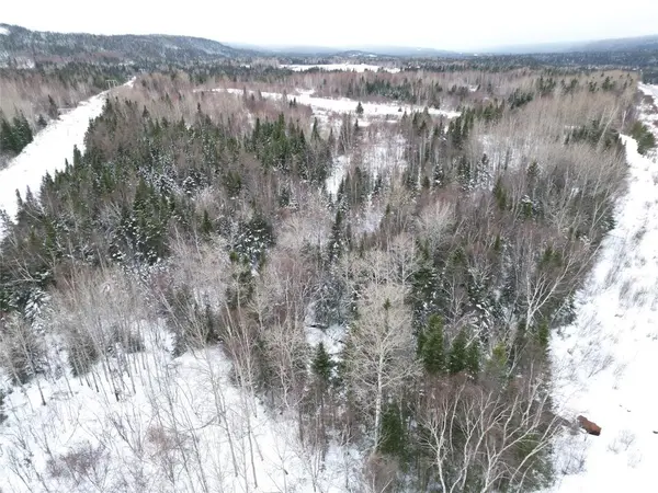 0 Springdale Junction Rd Road, Springdale, NL A0J 1T0