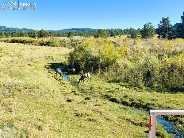 Rosebush RD, Canon City, CO 81212