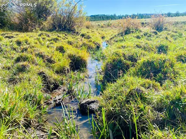 Rosebush RD, Canon City, CO 81212