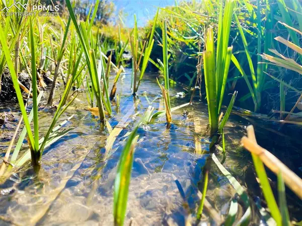 Rosebush RD, Canon City, CO 81212