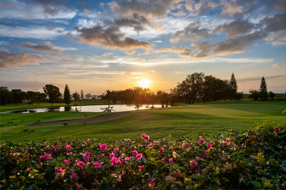 68-1754 MELIA ST #A103, Waikoloa, HI 96738