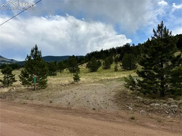 682 Nancy Ann Arroyo, Guffey, CO 80820