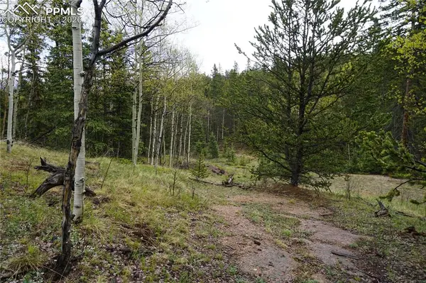 Vacant Land, Cripple Creek, CO 80813