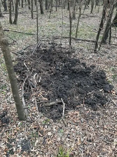 TBD PR 5042, Bogata, TX 75417