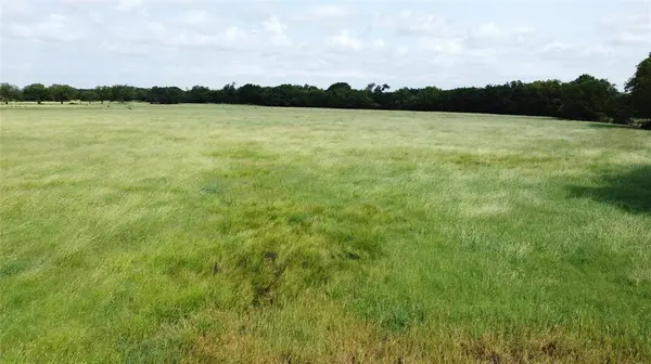 11742 Dane Road, Pilot Point, TX 76258