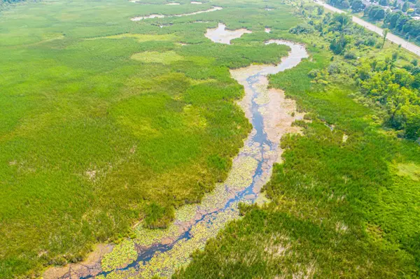 PT LT 13 Con 6 N/A, Brock, ON L0C 1H0