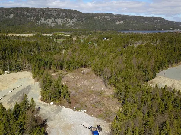 Lot 4 Hutton Road, South River, NL A0A 3W0