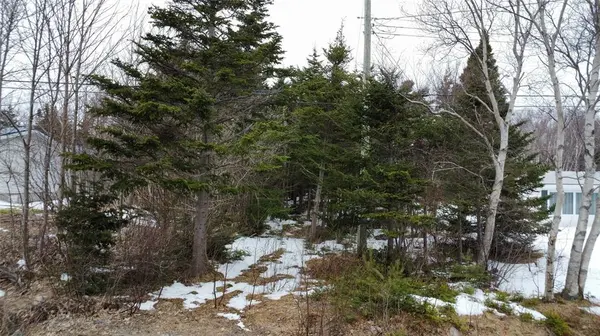 530 Seal Cove Road, Cbs, NL A1X 6R4