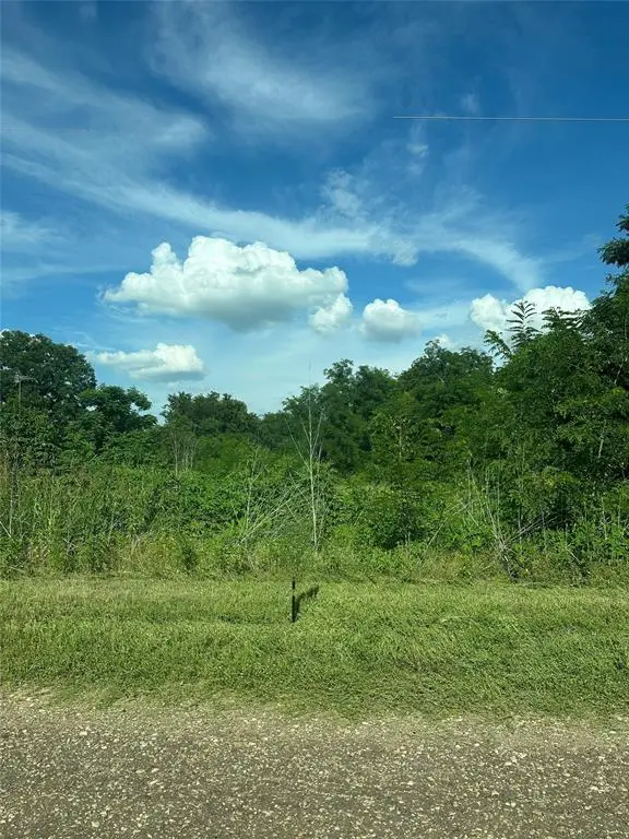 TBD County Road 287, Marlin, TX 76661