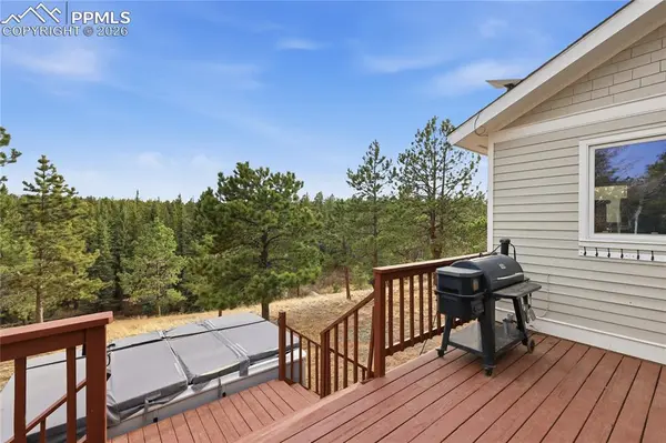 57 Trout Creek CIR, Divide, CO 80814