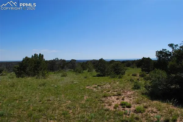 Williams RD, Walsenburg, CO 81089