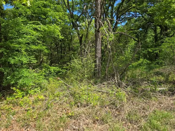 Lot 699 Shady Grove Road, Gun Barrel City, TX 75156
