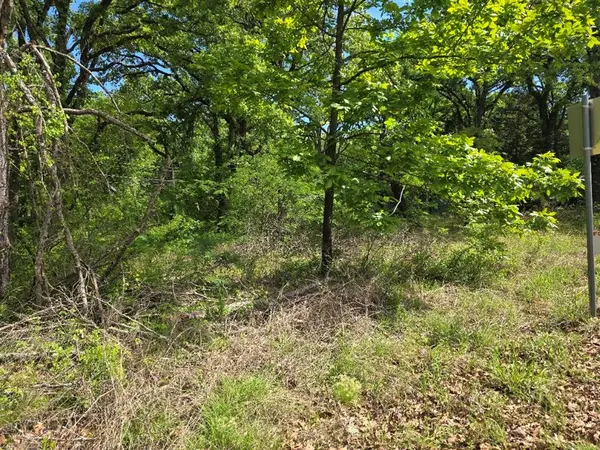 Lot 699 Shady Grove Road, Gun Barrel City, TX 75156