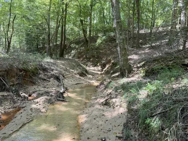 TBD County Road 3704, Joaquin, TX 75954