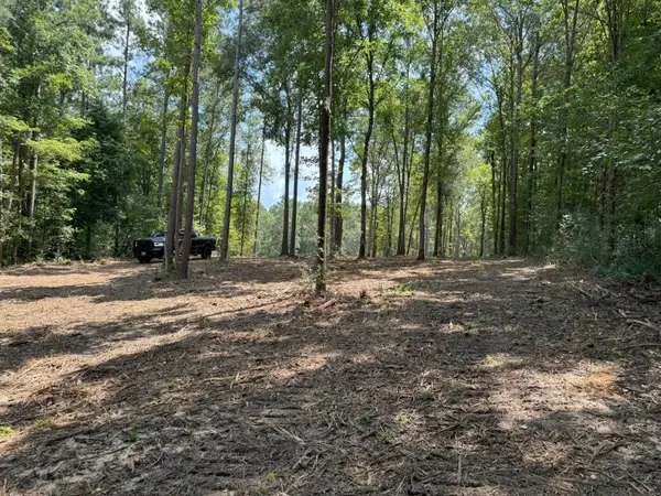 TBD County Road 3704, Joaquin, TX 75954