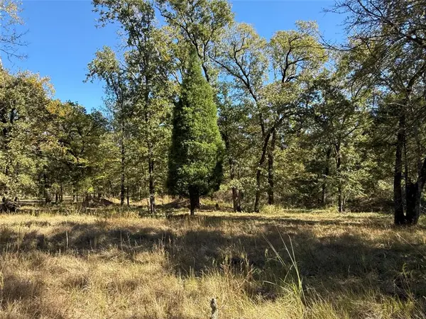 15801 Maple Lane, Malakoff, TX 75148