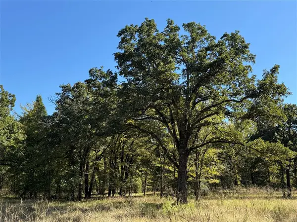 15801 Maple Lane, Malakoff, TX 75148