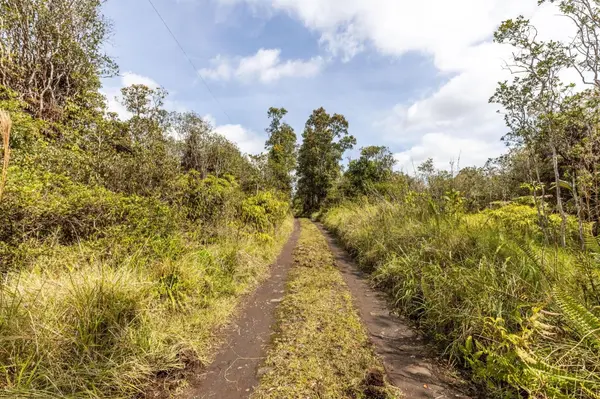 ROAD 7, Mountain View, HI 96771