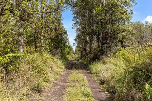 ROAD 7, Mountain View, HI 96771