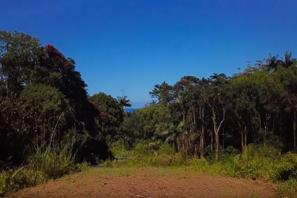 27-2430 HAWAII BELT RD, Papaikou, HI 96781