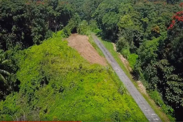 27-2430 HAWAII BELT RD, Papaikou, HI 96781