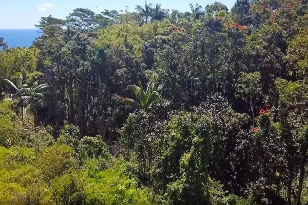 27-2430 HAWAII BELT RD, Papaikou, HI 96781