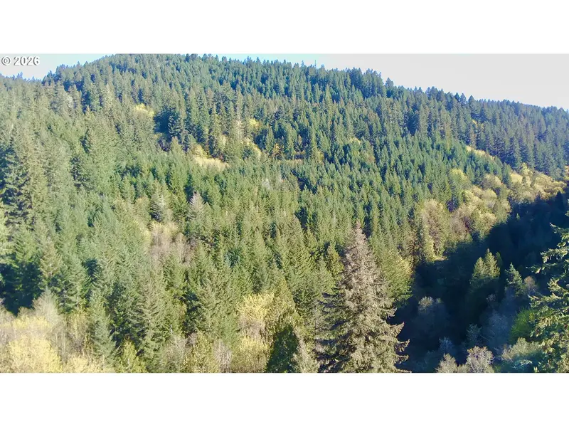 S. Fork Rd, Alsea, OR 97324