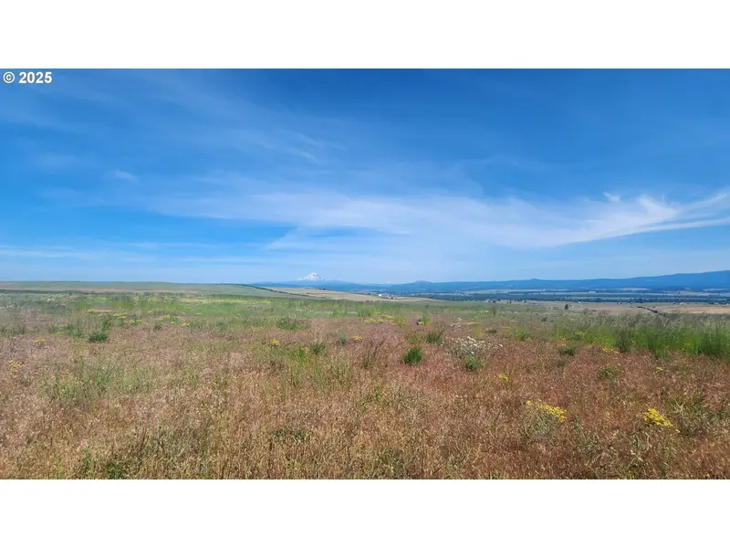 NKA Shull Ranch Rd, Centerville, WA 98613