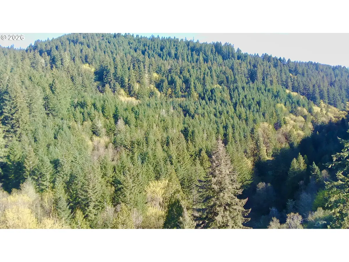 S. Fork Rd, Alsea, OR 97324