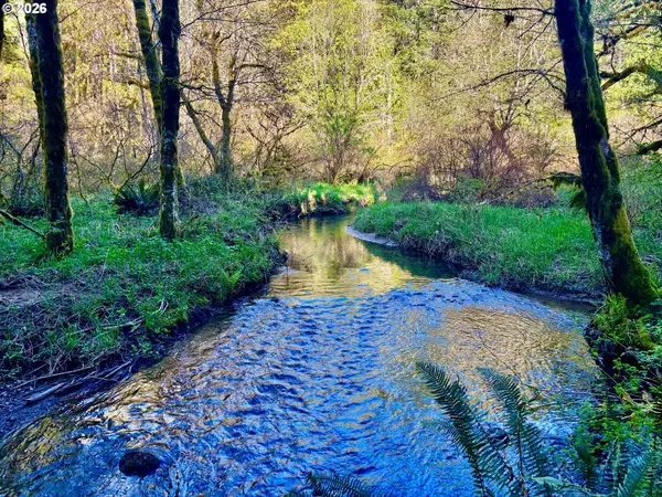 S. Fork Rd, Alsea, OR 97324