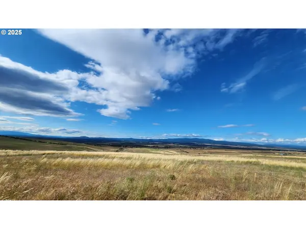 NKA Shull Ranch Rd, Centerville, WA 98613