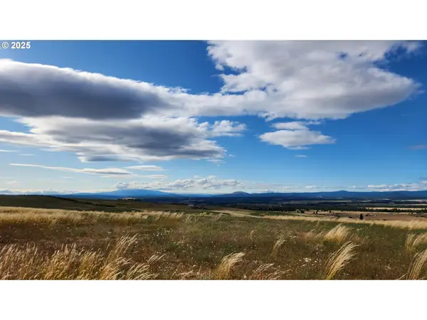 NKA Shull Ranch Rd, Centerville, WA 98613