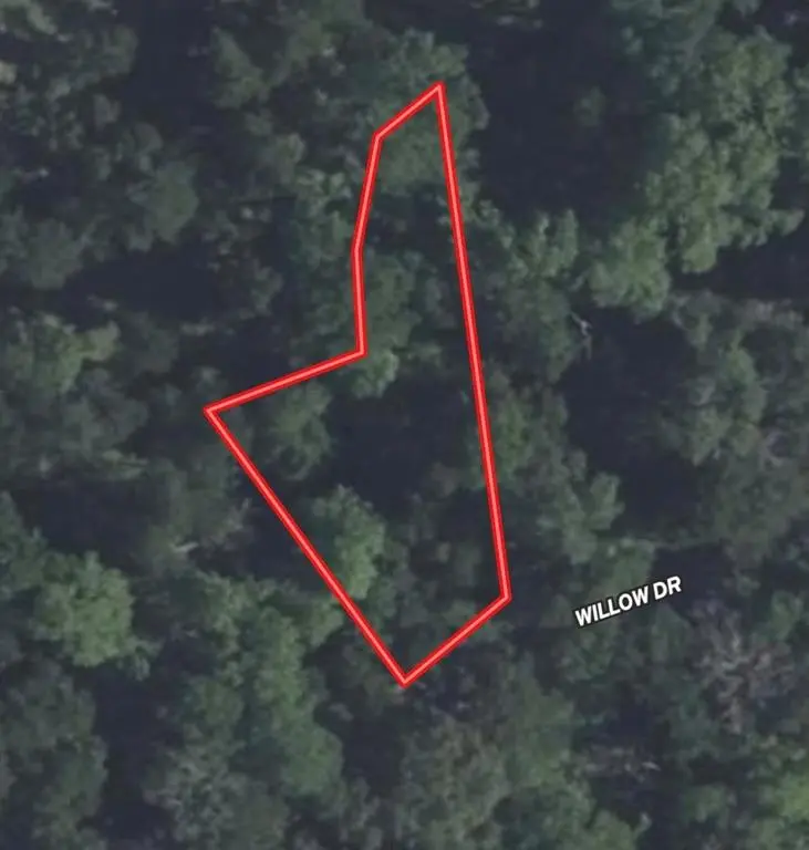 Lot 118 Willow Dr, Wills Point, TX 75169