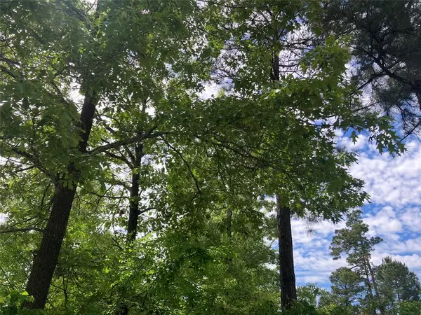 TBD Ridgeline Loop, Winona, TX 75792