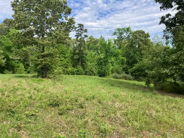 TBD Ridgeline Loop, Winona, TX 75792
