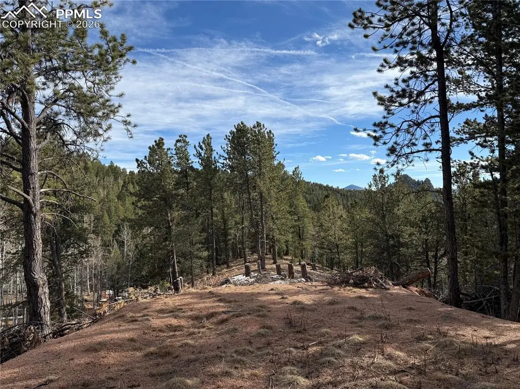 162 Eagle DR, Divide, CO 80813