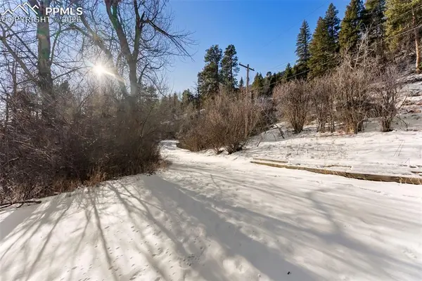 9660 Fountain RD, Cascade, CO 80809