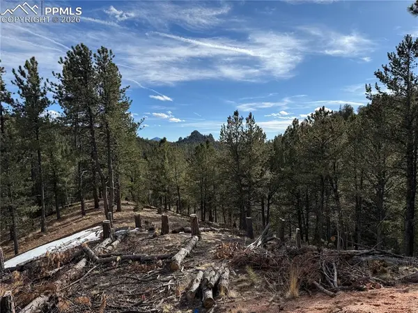 162 Eagle DR, Divide, CO 80813