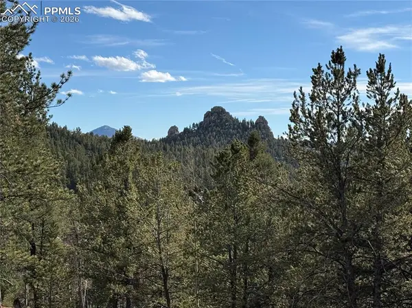 162 Eagle DR, Divide, CO 80813