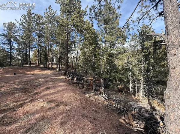 162 Eagle DR, Divide, CO 80813