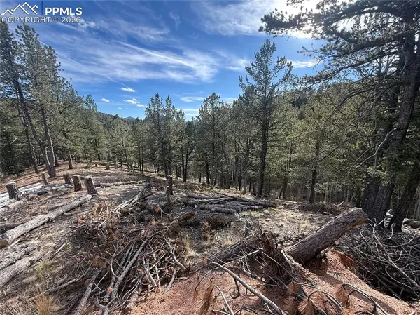 162 Eagle DR, Divide, CO 80813