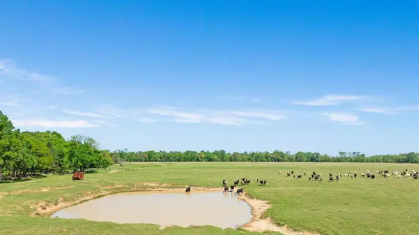 000 COUNTY ROAD 2356, Detroit, TX 75436