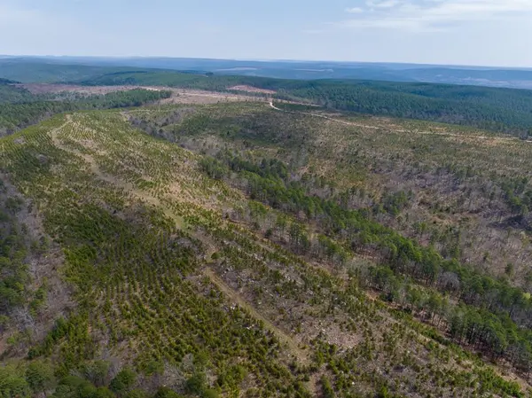 1 Off N4220, Antlers, OK 74523