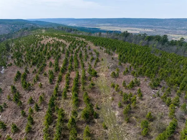 1 Off N4220, Antlers, OK 74523