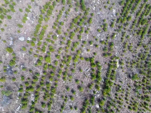 1 Off N4220, Antlers, OK 74523