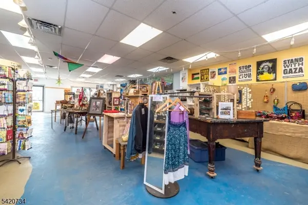 9 Kingwood Ave, Frenchtown Boro, NJ 08825