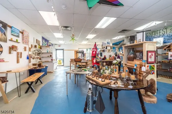 9 Kingwood Ave, Frenchtown Boro, NJ 08825