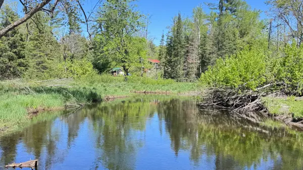 2348 Northey's Bay RD, North Kawartha, ON K0L 2H0